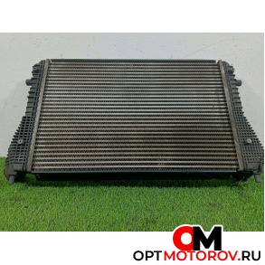 Интеркулер  Volkswagen Passat B6 2009 3C0145805R #3