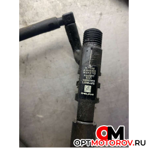 Форсунка топливная  SsangYong Rodius 1 поколение [рестайлинг] 2011 A6650170221          #3