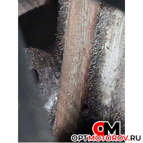 Двигатель  Audi A6 4F/C6 2005 BMK #6