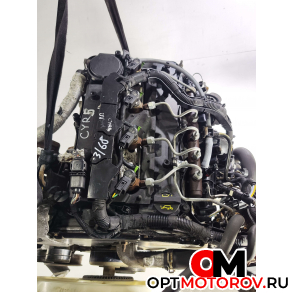 Двигатель  Ford Transit 8 поколение 2012 CYRB #2