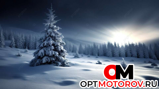 Двигатель  BMW 1 серия E81/E82/E87/E88 1983  #1
