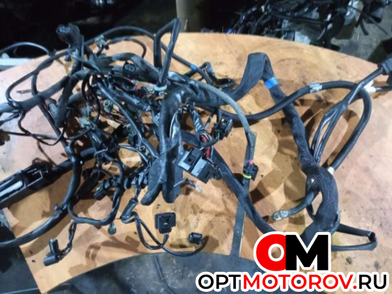 Проводка двигателя  Mercedes-Benz 2009 A6421507733          #1