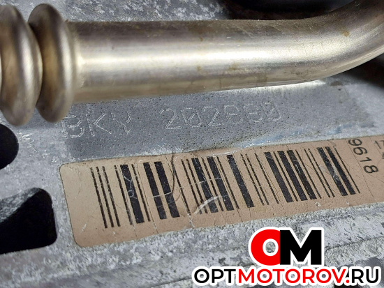 Двигатель  Volkswagen Polo 4 поколение 2004 BKY #5