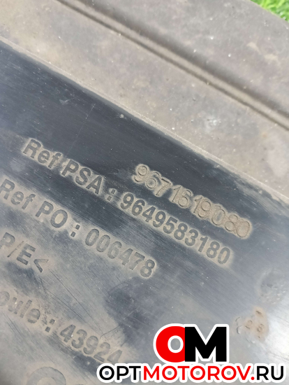 Усилитель переднего бампера  Peugeot 207 1 поколение [рестайлинг] 2011 9649583180 #2