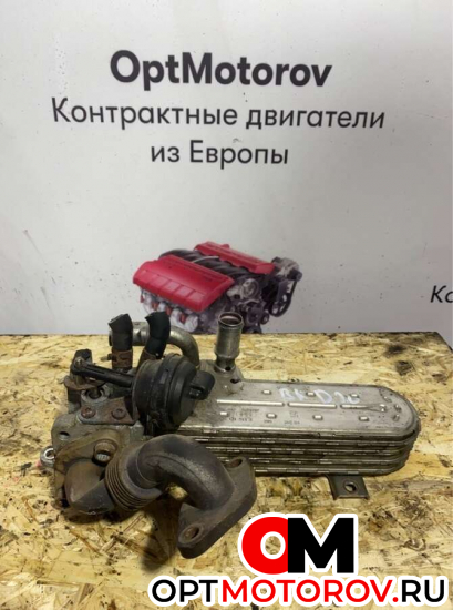 Радиатор EGR  Volkswagen Passat B6 2008 03G131513J           #1