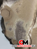 КПП механическая (МКПП)  Opel Astra H 2007 F17w355, F17355 #4