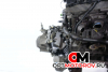КПП механическая (МКПП)  Citroen C4 1 поколение 2007 20DM71,8096.17 #1
