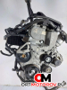 Двигатель  Volkswagen Golf 6 поколение 2009 CAX, CAXA #1