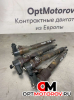 Форсунка топливная  Saab 9-3 2008 445110359            #2