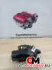 Стартер  Ford Focus 2007 4M5T-11000-DB        #1