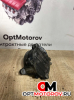Компрессор кондиционера  Mercedes-Benz C 2005 A0012305611          #1