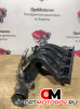 Впускной коллектор  Mercedes-Benz C 2004 A6110902937          #1