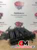 Впускной коллектор  Mercedes-Benz C 2004 A6110902937          #2