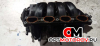 Впускной коллектор  Opel Zafira 2007 55353314             #3