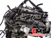 Двигатель  Volkswagen Passat B6 2008 CBAB #4