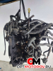 Двигатель  Ford Transit 6 поколение 2006 F3FA  #3