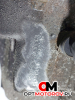 КПП механическая (МКПП)  Opel Insignia 1 поколение (A) 2011 F40, 55567634, AKJ #3
