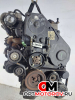Двигатель  Ford Focus 2 поколение 2006 KKDA #1