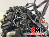Двигатель  Audi A6 4F/C6 [рестайлинг] 2010 CAHA #2