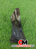 Кронштейн крепления крыла переднего левого  Volkswagen Golf 6 поколение 2010 5K6821136A #2