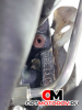 Двигатель  Audi A4 B7 2007 BRE #4