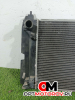 Радиатор основной  Toyota Avensis 2 поколение (T250) 2004 4221725963 #2