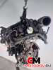 Двигатель  Renault Clio 3 поколение 2009 K9K766 #4