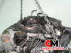 Двигатель  Audi A4 B7 2006 BPP #3