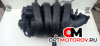 Впускной коллектор  Opel Zafira 2 поколение (B) 2007 55353314             #2
