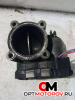 Дроссельная заслонка  Mercedes-Benz Vito W639 2007 A6420900070          #1