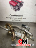 Радиатор EGR  Ford Galaxy 1 поколение [рестайлинг] 2005 038131513L           #1