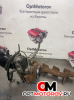 Турбина  Mercedes-Benz E-Класс W211/S211 [рестайлинг] 2009 A6460901080          #2