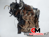 Двигатель  Ford Transit 7 поколение 2007 P8FA #4