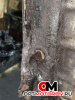 Двигатель  Renault Master 2 поколение [рестайлинг] 2005 G9UA754, G9U754 #9