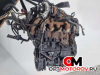Двигатель  Ford Transit 7 поколение 2010 QVFA #6