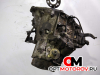 КПП механическая (МКПП)  Citroen Berlingo 1 поколение (M49) 2003 20DM47 #3