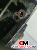 Двигатель  Audi A4 B6 2004 BFB #3