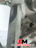 Двигатель  Ford Focus 2 поколение 2007 QQDB #5
