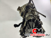 КПП механическая (МКПП)  Audi A4 B8/8K 2008 JJF #4